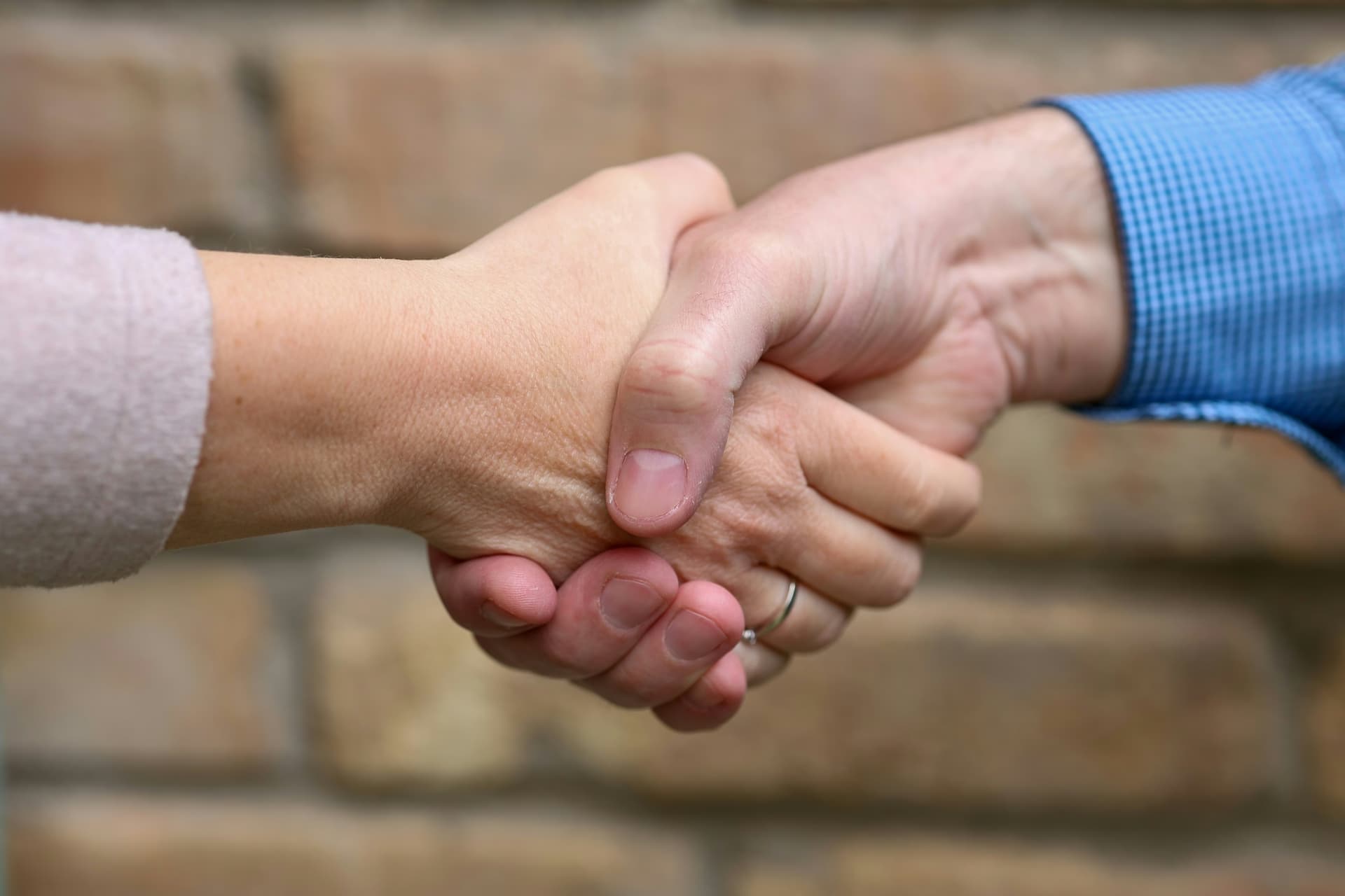 Donors and audit partners
